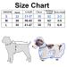 Buy Blue Dog Rain Jacket - Waterproof Raincoat for Small & Large Dogs | 1 PC - Perfect for All Weather - Buy Online on GoSupps.com