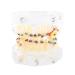 Tooth model dental orthodontic model with wire chain study model for painting painting treatment for dentists and orthodontists