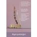 Buy Pure Lavender Essential Oil - Natural Aromatherapy Headache Relief 1 Pack - Buy Online on GoSupps.com