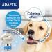 ADAPTIL Calm 30 day Refill helps dog cope with behavioural issues and life challenges - 48 ml (Pack of 1) 30 day refill pack - Buy Online on GoSupps.com