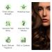 Trichup Keratin Hot Oil Treatment Hair Mask - 500ml | Flexible, Strong, and Manageable Hair - Buy Online on GoSupps.com
