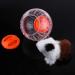 YOUTHINK Hamster Ball 12cm Plastic Pet Rodent Mice Gerbil Jogging Ball Hamster Toy (Orange) Transparent - Buy Online on GoSupps.com
