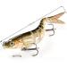 Premium Rubber Fish Bait Set for Trout & Bass Artificial Fishing Bait for Freshwater & Saltwater Perfect Fishing Gifts for Men - Buy Online on GoSupps.com