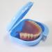 Buy Dental Prosthesis Box - Durable Storage for Dentists | 2-Piece Cyan & Blue Set - Buy Online on GoSupps.com