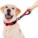 PLUTUS PET Strong Training Dog Lead with Rock Climing Carabiner Clip Relective Nylon Dog leash Padded Handle Training Lead for Large and Medium Dogs(25cm Red) 25 cm (Pack of 1) Red - Buy Online on GoSupps.com