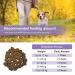 Petsy Skin & Coat Supplement for Dogs - Vitamin C, E, Zinc, Biotin, Omega 3 - Supports Healthy & Shiny Coat, Rejuvenates Skin, Natural Relief for Itchy Skin - Daily Use - Buy Online on GoSupps.com