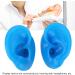 Soft Silicone Human Ear Model for Jewelry Display and Piercing Practice (Large) - Buy Online on GoSupps.com
