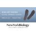 New York Biology Dead Sea Mud Mask - Spa Quality Pore Reducer for Acne & Oily Skin, Collagen & Stem Cell Infused - 4 oz Natural Skincare for Men & Women - Buy Online on GoSupps.com