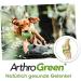 CDVet ArthroGreen 1L - Natural Joint Support Supplement for Horses Dogs & Cats | Herbal Nutritional Formula - Buy Online on GoSupps.com