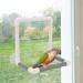 Portable Bird Parrot Stand Shower Perch Toy with 4 Suction Cups - Buy Online on GoSupps.com