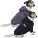 HuaLiSiJi Dog Hoodie Dog Sweatshirt Chihuahua Hoodie Dog Fleece Jumper Warm and Lightweight With a Soft Texture Easy to Wear and Bright Colors (XXXL Black+Gray) XXX-Large 2PCS Black+Gray