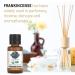 Garden of Life Frankincense Essential Oil 0.5 fl oz - USDA Organic, Pure & Non-GMO for Diffuser, Aromatherapy & Skincare - Buy Online on GoSupps.com