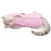 Komate Cat Surgical Recovery Suit | Post Surgery Cotton Pet Physiological Clothes | E-Collar Alternative for Cats & Dogs (S Pink) - Buy Online on GoSupps.com