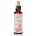 Bach Original Flower Remedies Crab Apple - Accept Imperfections - Natural Homeopathic Flower Essence for Emotional Balance - Vegan Gluten Free Sugar Free - 20mL Dropper