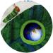 Eric Carle Kids Preferred Very Hungry Caterpillar Soft Book with Sounds and Light Up Firefly - Perfect for Infants and Babies - Buy Online on GoSupps.com