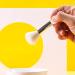 High-Quality Makeup Brushes | Soft Dense Wool for Flawless Buffing & Blending - Buy Online on GoSupps.com