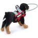 Pet Blind Halo Lightweight Practical Collision Avoidance Harness with Reflective Effect for Blind Dogs Cats (ZJchaowze0xh9v6q-11) - Buy Online on GoSupps.com