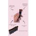 Travel Makeup Brush Set - 6 Mini Cosmetic Tools for Liquid Powder & Blush | Portable On-the-Go Face Brushes - Buy Online on GoSupps.com