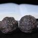 Sciaza Klangkugeln Massage Ball - Solid Fitness Ball for Hand Training | Baoding Balls for Improved Strength & Relaxation - Buy Online on GoSupps.com