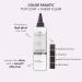Pureology Color Fanatic Top Coat + Sheer Clear Hair Toner - Hair Gloss Treatment - 6.7 Fl Oz - Buy Online on GoSupps.com