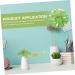 Zerodeko 2 Pcs Simulation Plant Succulent Outdoor Small Greenery Decor Artificial Succulents Photo Mini Decor Plants Wedding Scene Layout Prop Plastic Child Christmas The Flowers Greenx2pcs 29x18cmx2pcs - Buy Online on GoSupps.com