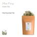 Mao Feng Gr ner Tea - Authentic Huangshan Green Tea from China | Organic Maofeng Yellow Mountains Loose Leaf | Buy Now! - Buy Online on GoSupps.com