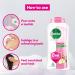 Buy Dettol Body Wash & Shower Gel Nourish 250ml - Best International Shipping | eCommerce - Buy Online on GoSupps.com