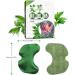 Knee Pain Relief Moxa Patches - 12 Self-Heating Wormwood Stickers for Sciatica & Leg Discomfort - Buy Online on GoSupps.com