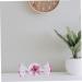 Alipis Colored Glaze Candy Christmas Decorations Home Decoration Mini Candy Desk Topper Gem Colorful Glass Red Medium - Buy Online on GoSupps.com