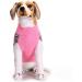Amaone Chihuahua Puppy Leopard Winter Coat Knitted Pink Jacket for Small Dogs | Perfect for Cold Weather - Buy Online on GoSupps.com
