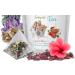 immune support tea - RESPIRATORY AND LUNG SUPPORT TEA 14 Days - organic hibiscus tea bags Eucalyptus tea organic peppermint tea bags organic lung health tea bag with Cinnamon - 1 Pack 14 bags - Buy Online on GoSupps.com