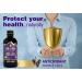 Immunia SYNERGY - Elderberry Supplement for Immune System Support - Powerful Natural Antioxidant. POLYPHENOLS: Anthocyanins Quercetins. Elderberries from Canada. (1-pack) 1 count (Pack of 1) - Buy Online on GoSupps.com