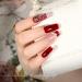 KRISNICE Wine Burgundy Red Cat Eye Gel Nail Polish Set for Fall Manicure - KCS2-004 - Buy Online on GoSupps.com