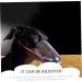 BESPORTBLE 4pcs Cat Muzzle Dog Mouth Mask Hood Bubble Muzzle Cat Grooming Mask Dog Muzzles Pet Mask Pp - Buy Online on GoSupps.com