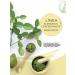 Florigan Bergamota Hair Growth Shampoo 1lt - 33.8 Fl Oz (Pack of 1) - Buy Online on GoSupps.com