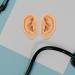 GALPADA 1 Pair Silicone Ear Model - Realistic Artificial Ear Mold for Picking Training - Fake Body Part for Piercing Acupuncture Practice Classroom and Home Decor - Buy Online on GoSupps.com