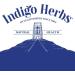 Organic Indigo Herbs EU Wheatgrass Powder 1kg - Pure & Potent Superfood | Pack of 1 - Buy Online on GoSupps.com