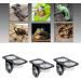 Serenable 3 PCS Reptile Amphibians Chameleon Lizard Feeding Ledge Bowls Double Dish with Suction Cup - Buy Online on GoSupps.com