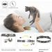2 PCS Breakaway Cat Collar Set with Bell - Cute Adjustable Kitten Collars in Blue and Black - Buy Online on GoSupps.com