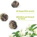 LWXLJMJZC-50 Servings Pure Jasmine Dragon Pearls Tea-Jasmine Tea Pearls-Jasmine Flowers Green Tea-100g/3.53oz 100g(3.520z)jasmine Pearls Tea - Buy Online on GoSupps.com