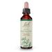 Bach Original Flower Remedies Holly - Goodwill Towards Others - Natural Homeopathic Flower Essence for Emotional Balance - Vegan Gluten Free Sugar Free - 20mL Dropper