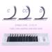 Lash Extensions 0.05 D Curl 8-15mm | Easy Fan Volume Lashes | Rapid Blooming Eyelash Extensions for Stunning Volume - Buy Online on GoSupps.com