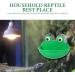 PATKAW 2pcs Reptiles Suction Cup Feeder Frog Habitat Lizard Feeding Food Cricket Bowl Water Dish Gecko Ledge Supplies Accessories for Gecko Bearded Dragon - Buy Online on GoSupps.com