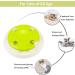 Pettom Interactive Cat Toy | Electric Butterfly Funny Exercise Toy for Kittens | Rotating Pop N Play Toy with Replacement Feathers | Green - Buy Online on GoSupps.com