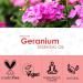 SALKING Geranium Essential Oil 120ml - 100% Pure Natural Therapeutic Grade Aromatherapy Oil for Skin Care, Relaxation, and Sleep - Fragrance Oil for Diffuser and Humidifier - Great Gift for Women - Buy Online on GoSupps.com