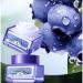 Blueberry Moist Facial Cream - 60g | Calming Softening & Moisturizing Skincare for Clear & Firm Skin - International Shipping Available - Buy Online on GoSupps.com