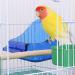 Shuoxpy Small Bird Bath Box - Parrot Bathing Tub for Small Birds, Parakeet, Canary, Budgerigar | Bird Cage Supplies - Random Color - Buy Online on GoSupps.com