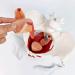 Ovarian Model - Female Pelvis & Perineum with Removable Organs | Magnetic Teaching Aid for Uterus Display | International Shipping Available - Buy Online on GoSupps.com