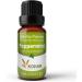 100% Pure Aromatherapy Essential Oils Diffuser Gift Set - Lavender Eucalyptus Tea Tree Rosemary Lemongrass & Peppermint - 6 x 10 mL - Buy Online on GoSupps.com
