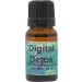 Digital Detox Fragrance Oil by Eclectic Lady 10 ml Premium Long Lasting Diffuser Scent Aromatherapy